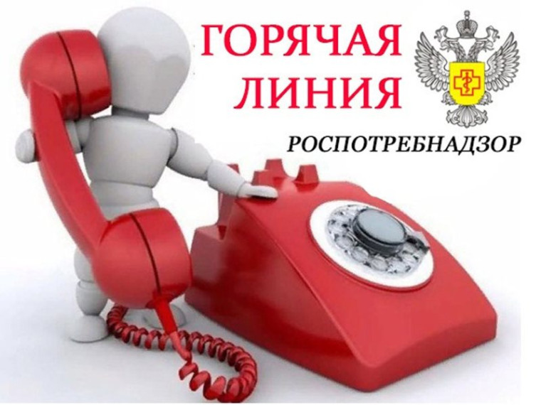 «Горячая линия» по вопросам детского отдыха.
